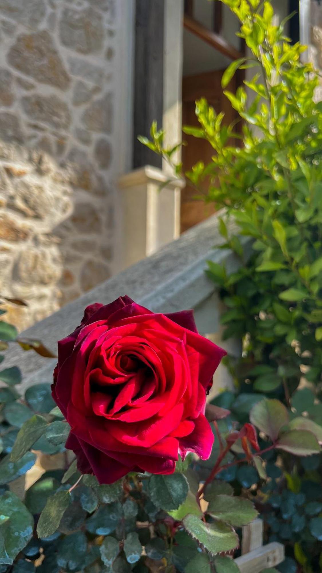 La Thebaide Bed & Breakfast Grasse Exterior photo
